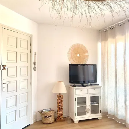 Le Petit Colliourenc - Climatise Avec Terrasse Apartmán